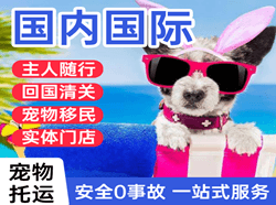 朔州航空邮寄国际宠物托运 【国